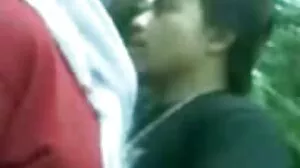 ميا ميس