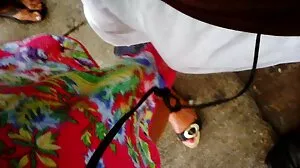 حليف آن