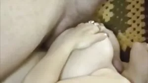 أساور القط
