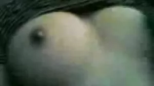 ليكسي فوكس