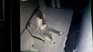 كريستين الياقوت