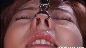 سيرين دي مير